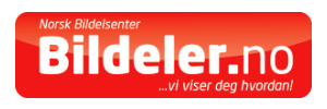 Bildeler logo